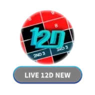Dingdong Togel 12D New